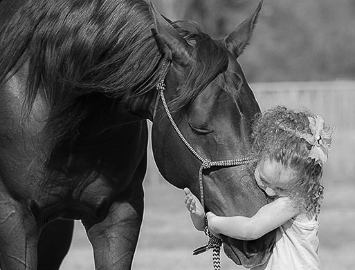 Chris Cox Horsemanship