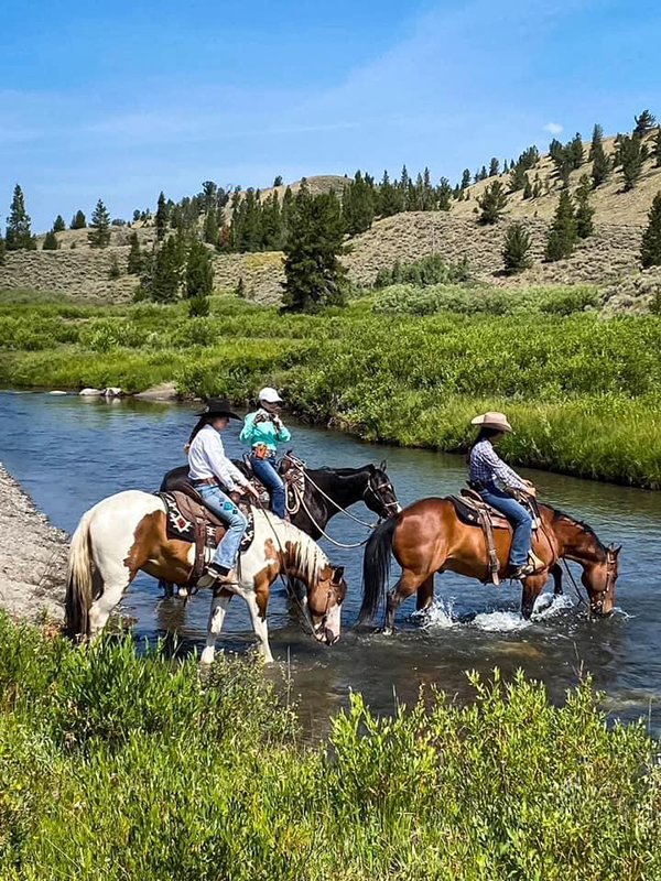 Horses Crossing River