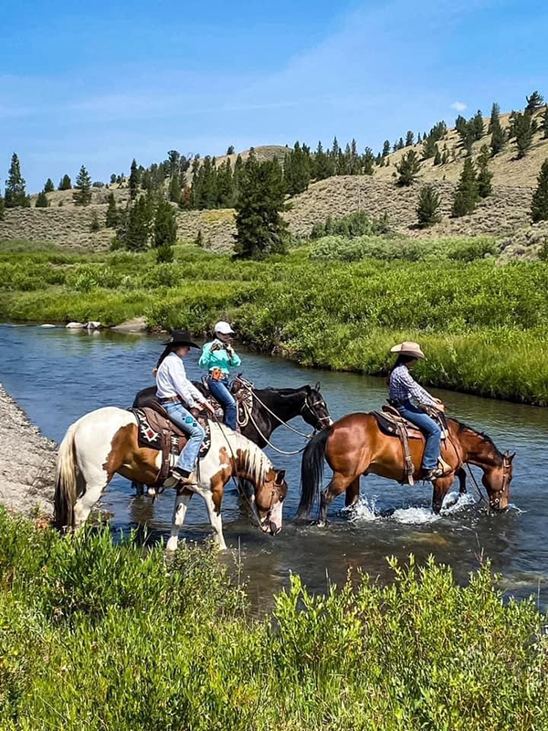 Horses Crossing River Horses Crossing River
