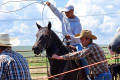 Boys-2023-Roping