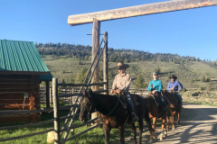 In-From-the-Trail-2025